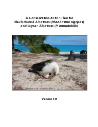 Laysan and Black-Footed Albatross Nesting Pairs at All Known Breeding Sites (Data from USFWS Unpublished Data Except As Noted Below)