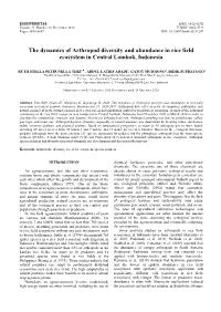 The Dynamics of Arthropod Diversity and Abundance in Rice Field Ecosystem in Central Lombok, Indonesia