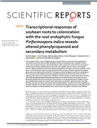 Transcriptional Responses of Soybean Roots to Colonization With
