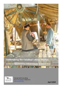 Undertaking the Faizabad Labour Market