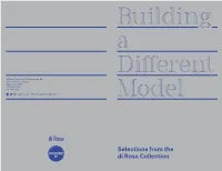 Building a Different Model: Selections from the Di Rosa Collection Is Curated by Dan Nadel