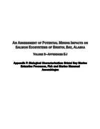 Biological Characterization: an Overview of Bristol, Nushagak, and Kvichak Bays; Essential Fish Habitat, Processes, and Species Assemblages