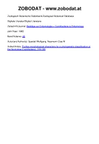 Further Morphological Characters for a Phylogenetic Classifica Tion of The