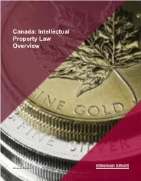 Intellectual Property Law Overview