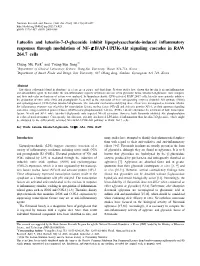 Luteolin and Luteolin-7-O-Glucoside Inhibit Lipopolysaccharide-Induced Inflammatory Responses Through Modulation of NF-Κb/AP-1