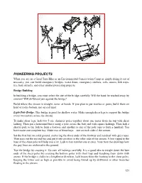 Pioneering Projects
