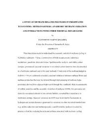 A Study of Methane-Related Processes in Freshwater