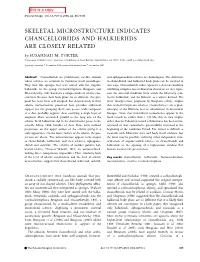 SKELETAL MICROSTRUCTURE INDICATES CHANCELLORIIDS and HALKIERIIDS ARE CLOSELY RELATED by SUSANNAH M