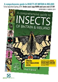 A Comprehensive Guide to Insects of Britain & Ireland