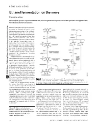 Ethanol Fermentation on the Move