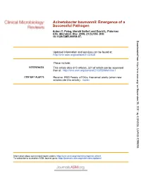 Successful Pathogen : Emergence of a Acinetobacter Baumannii