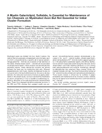 A Myelin Galactolipid, Sulfatide, Is Essential for Maintenance of Ion Channels on Myelinated Axon but Not Essential for Initial Cluster Formation