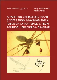A Paper on Cretaceous Fossil Spiders from Myanmar and a Paper on Extant Spiders from Portugal (Arachnida: Araneae)