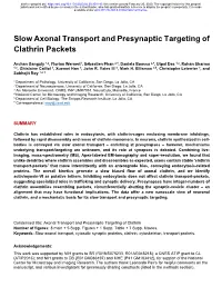 Slow Axonal Transport and Presynaptic Targeting of Clathrin Packets