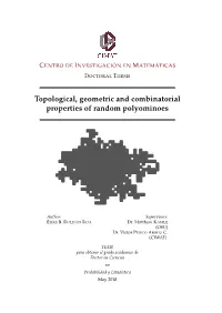 Topological, Geometric and Combinatorial Properties of Random Polyominoes