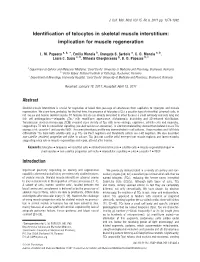 Identification of Telocytes in Skeletal Muscle Interstitium: Implication for Muscle Regeneration