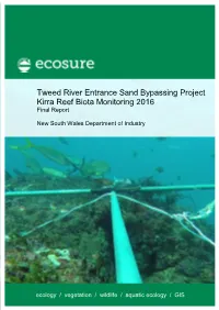 Kirra Reef Biota Monitoring Report 2016