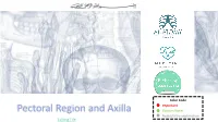 Pectoral Region and Axilla Doctors Notes Notes/Extra Explanation Editing File Objectives