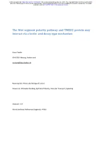 The Wnt Segment Polarity Pathway and TMED2 Protein May Interact Via a Lectin- and Decoy-Type Mechanism