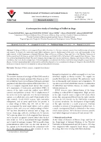 A Retrospective Study of Tetralogy of Fallot in Dogs