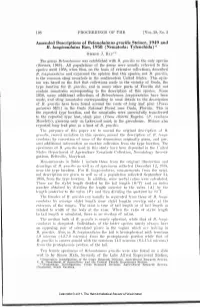Amended Descriptions of Belonolaimus Gracilis Steiner, 1949 and B
