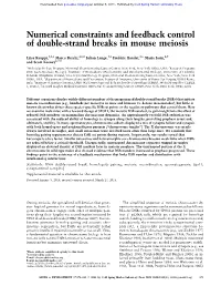 Numerical Constraints and Feedback Control of Double-Strand Breaks in Mouse Meiosis