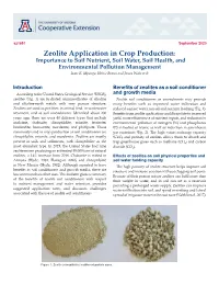 Zeolite Application in Crop Production: Importance to Soil Nutrient, Soil Water, Soil Health, and Environmental Pollution Management Isaac K