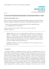 Locked and Unlocked Nucleosides in Functional Nucleic Acids