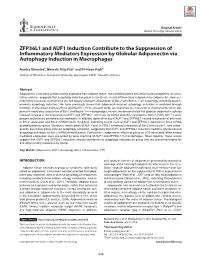 ZFP36L1 and AUF1 Induction Contribute to the Suppression of Inflammatory Mediators Expression by Globular Adiponectin Via Autophagy Induction in Macrophages