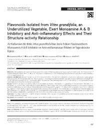 Flavonoids Isolated from Vitex Grandifolia, an Underutilized
