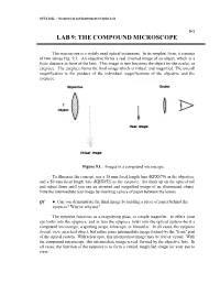 Lab 11: the Compound Microscope