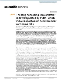 The Long Noncoding RNA of RMRP Is Downregulated by PERK, Which Induces Apoptosis in Hepatocellular Carcinoma Cells
