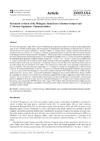 Systematic Revision of the Malagasy Chameleons Calumma Boettgeri and C