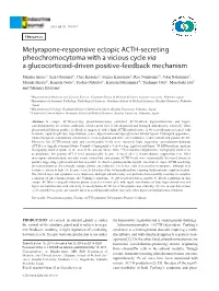 Metyrapone-Responsive Ectopic ACTH-Secreting Pheochromocytoma with a Vicious Cycle Via a Glucocorticoid-Driven Positive-Feedback Mechanism