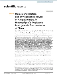 Molecular Detection and Phylogenetic Analyses of Anaplasma Spp. in Haemaphysalis Longicornis from Goats in Four Provinces Of