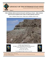 THE LOWER CRETACEOUS in EAST-CENTRAL UTAH—THE CEDAR MOUNTAIN FORMATION and ITS BOUNDING STRATA James I