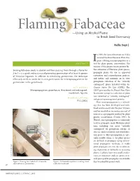 Flaming Fabaceae —Using an Alcohol Flame to Break Seed Dormancy