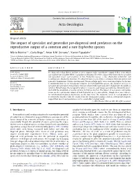 The Impact of Specialist and Generalist Pre-Dispersal Seed Predators on the Reproductive Output of a Common and a Rare Euphorbia Species
