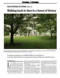 Walking Back in Time in a Forest of History
