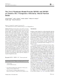 The Novel Membrane-Bound Proteins MFSD1 and MFSD3 Are Putative SLC Transporters Affected by Altered Nutrient Intake