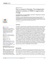 Not So Unique to Primates: the Independent Adaptive Evolution of TRIM5 in Lagomorpha Lineage