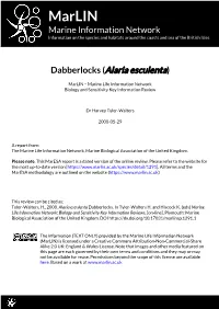 Download PDF Version