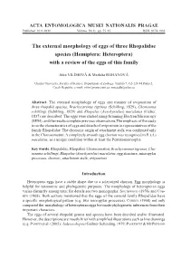 Hemiptera: Heteroptera) with a Review of the Eggs of This Family