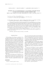 Allegato N. 1