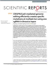 CRISPR/Cas9-Mediated Genome Editing Efficiently Creates Specific
