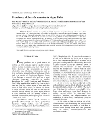 Prevalence of Borrelia Anserina in Argas Ticks
