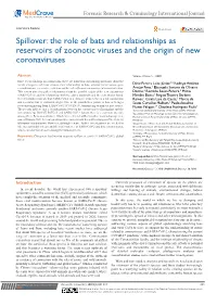 The Role of Bats and Relationships As Reservoirs of Zoonotic Viruses and the Origin of New Coronaviruses