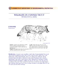 Wildlife in Connecticut Informational Series