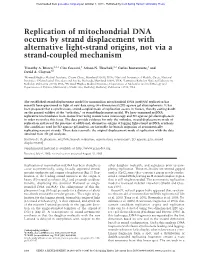 Replication of Mitochondrial DNA Occurs by Strand Displacement with Alternative Light-Strand Origins, Not Via a Strand-Coupled Mechanism