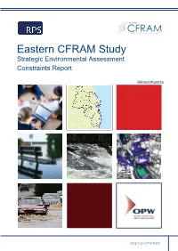 SEA Constraints Report D01